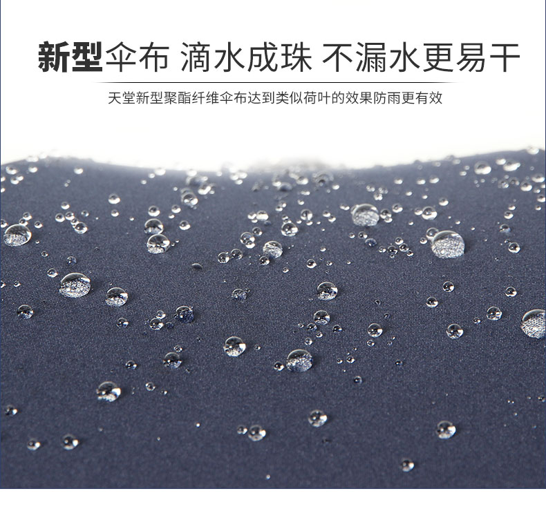 雨伞11.jpg